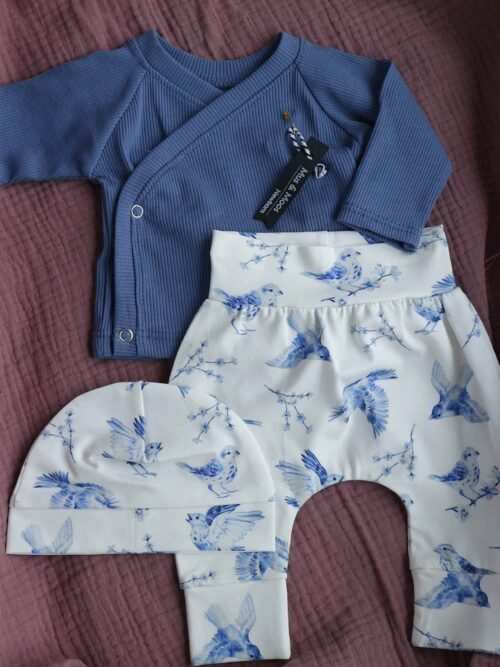Blauwe musjes newborn set