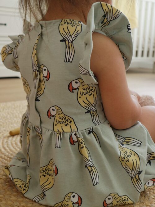 Ruffle jurkje papagaai